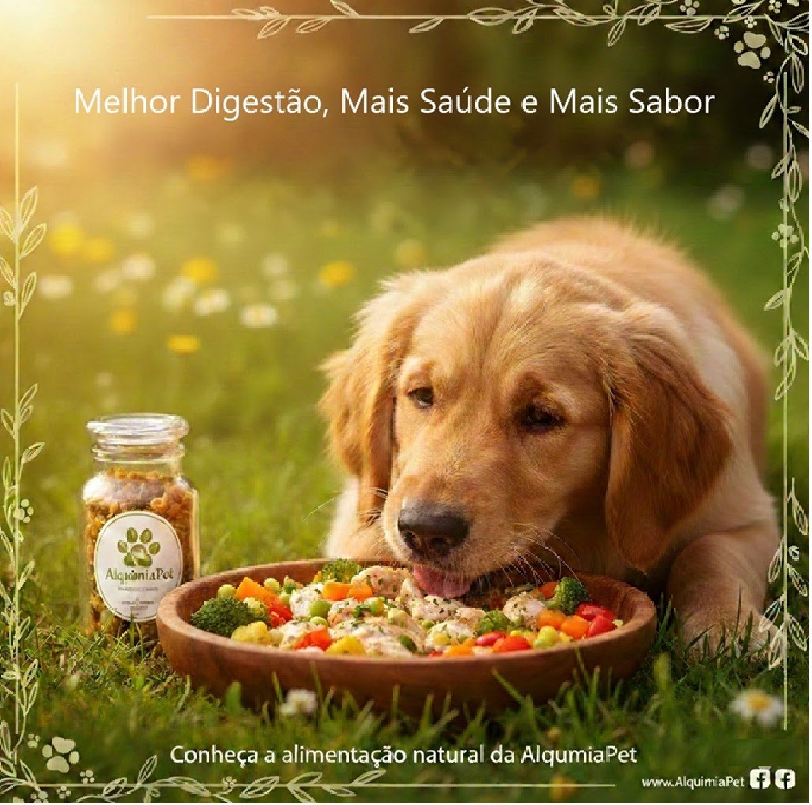 Melhor Digestão, Mais Saúde e Sabor